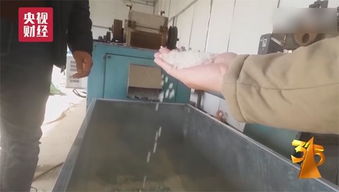 醫療廢物變兒童玩具 監管漏洞與食品安全警示